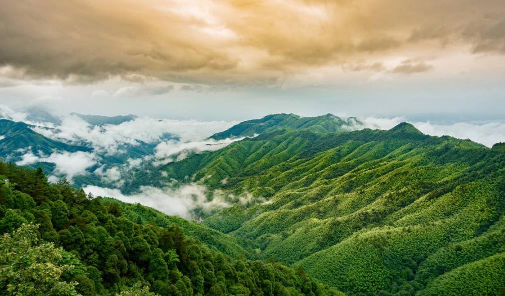 北京到井岡山旅游參考攻略