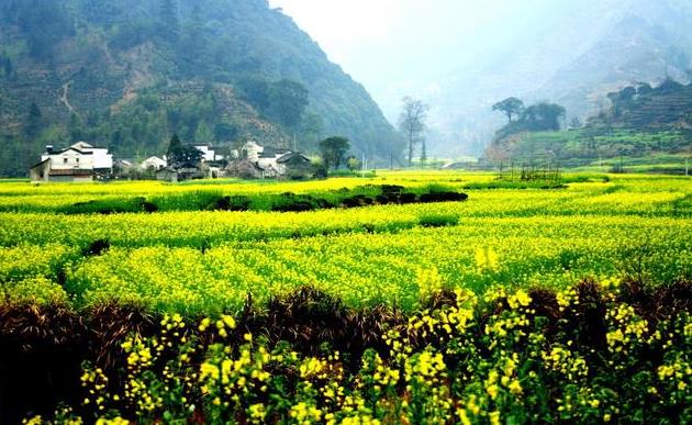 旅行的路上我們?cè)谧非笫裁矗坑终业搅耸裁矗?></a><a href=