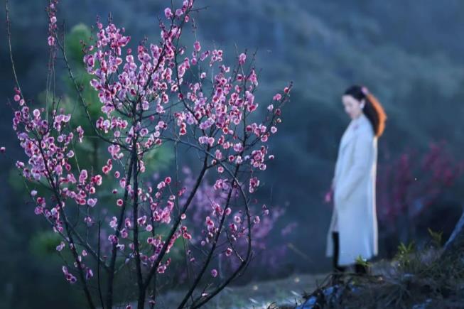 2月春天來了！江西最佳免費(fèi)旅行榜單出爐，您想去哪個(gè)