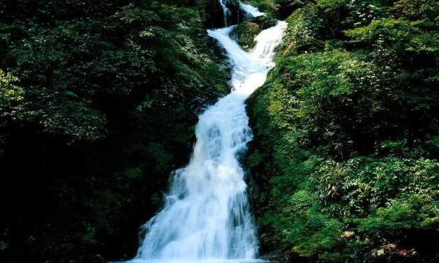 國(guó)慶假期井岡山風(fēng)景名勝區(qū)免旅游大門票啦！