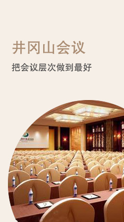 井岡山會(huì)議公司